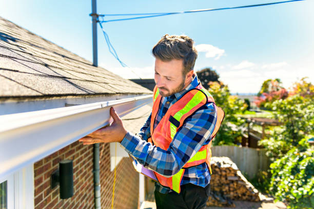 Best Asphalt Shingle Roofing  in Jackson, MN
